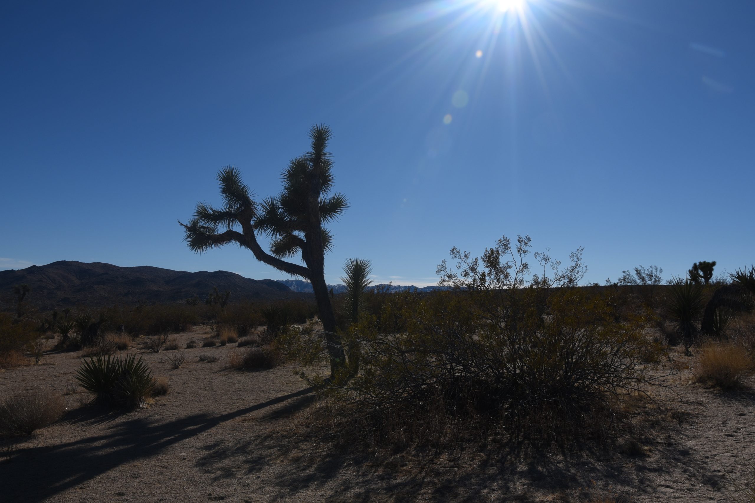 The great commission to disciple other for God's glory at Find My Heaven Ministry